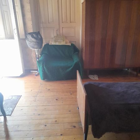 זוגדידי Levani'S Guesthouse מראה חיצוני תמונה